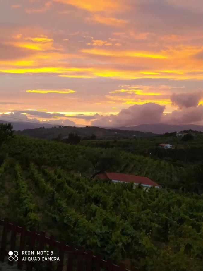 Casa Das Vinhas Velhas By Casa Do Poco Peso da Régua Dış mekan fotoğraf