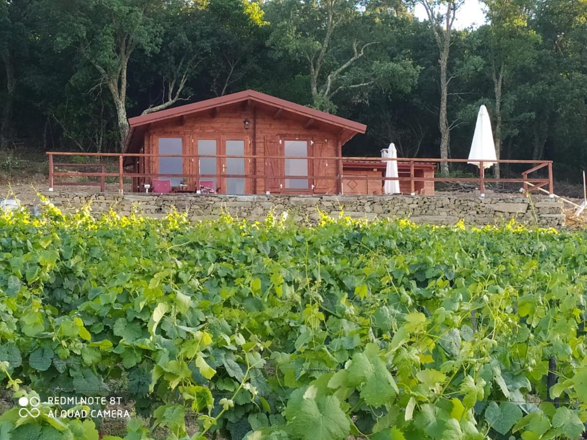 Casa Das Vinhas Velhas By Casa Do Poco Peso da Régua Dış mekan fotoğraf